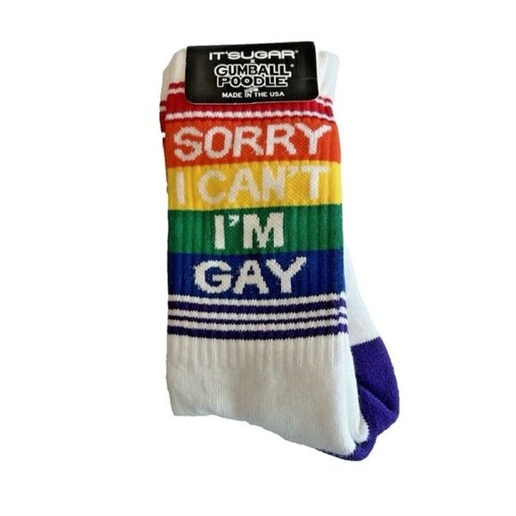 NWT It's Sugar Rainbow Sorry I Can't I'm Gay LGBTQIA Pride Striped Crew Socks - Picture 1 of 2
